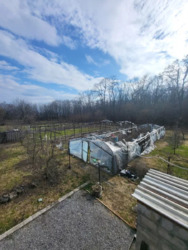 ������ ��� / ������ ���� �� ���� 12