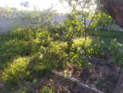 Продам Дом в Елизаветовке фото 6 Продам Дом в Елизаветовке фото 6