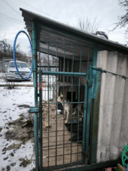 ������ ��� / ����������� ( 165 ��) ���� 21