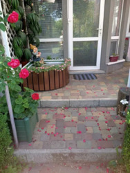 ������ ��� � ��������� ���� 3