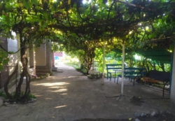 Продам Дом в Елизаветовке фото 4 Продам Дом в Елизаветовке фото 4