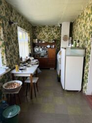 ������ ���� / ����� ���� 7