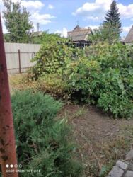 ������ ��� ) ���. ����������.. ���� 14