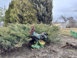 Продається будинок Кам'янське, Кам'янське, Дніпропетровська фото 2 Продається будинок Кам'янське, Кам'янське, Дніпропетровська фото 2