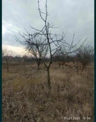 Продам три дома в домовладении / Баловка фото 13 Продам три дома в домовладении / Баловка фото 13