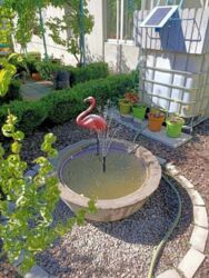 ������ ��� � ��������� ���� 5