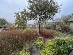 ������ ��� / ��������� ( �-� 28 �����) ���� 19