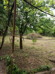 ������ ��� / ��������� ���� 24