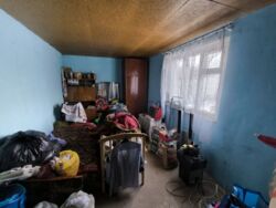 ������ ��� / ����������� ( 165 ��) ���� 13