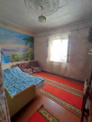 ������ ��� / ��� ���� 6