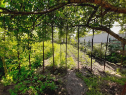 ������ ��� / ������ ( �-� ������) ���� 19