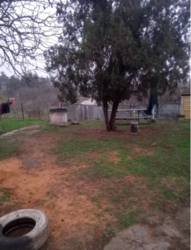 Продам Дом / Куриловка фото 15 Продам Дом / Куриловка фото 15