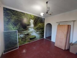 ������ ����� ���� / �-� ������� ������ ���� 7