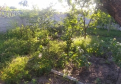 Продам Дом в Елизаветовке фото 7 Продам Дом в Елизаветовке фото 7