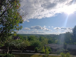 ������ ��� /�������� ���� 24