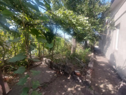 ������ ����� ���� / �-� ������� ������ ���� 2