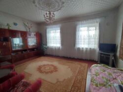 ������ ��� / ��� ���� 2