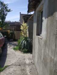 Продам часть дома в Центре города р-н городского парка фото 17 Продам часть дома в Центре города р-н городского парка фото 17