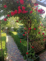 ������ ��� � ��������� ���� 2