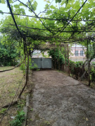 ������ ��� / ��������� ���� 16