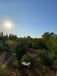 ������ ��� ����� � ��������� / ���������. ���� 14