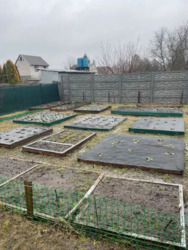 Продам Дачу / Кулиши фото 11 Продам Дачу / Кулиши фото 11