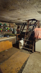 ������ ��� / ��� ���� 22