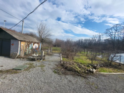 ������ ��� / ������ ���� �� ���� 15