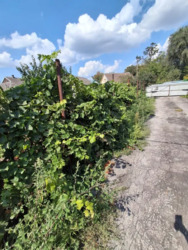 ������ ��� / ��������- ����������� ���� 2