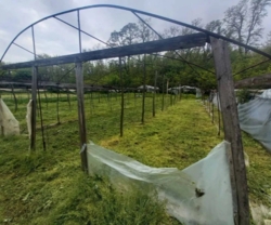 Продам Дом / Аулы фото 5 Продам Дом / Аулы фото 5