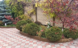 Продам Дом на Черемушках фото 4 Продам Дом на Черемушках фото 4