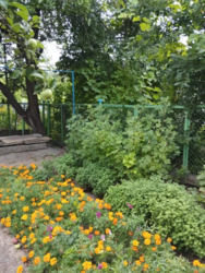 ������ ����� ���� / ��������� ( �-� 28 �����) ���� 5