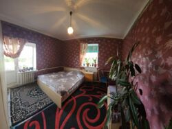 ������ ��� / ��� ���� 12