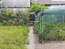 ������ ����� ���� / ��������� ( �-� 28 �����) ���� 14