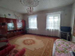 ������ ��� / ��� ���� 7