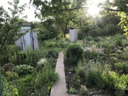 ������ ���� / ����� ���� 8