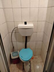 ������ ����� ���� / ������ ���� 13