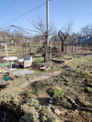 ������ ��� / ��������� ���� 20