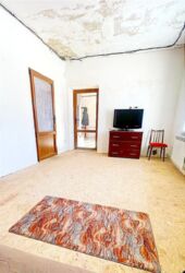 ������ ���/ ����������� ( 164 ��) ���� 12