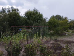 ������ ���� / ����� ���� 13