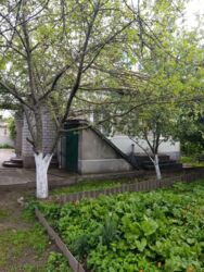 ������ ��� /�������� ���� 6