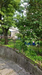 ������ ��� / ��� ���� 5