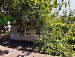 ������ ��� / ������ ( �-� ������) ���� 1