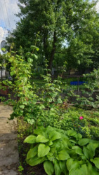 ������ ��� / ��� ���� 7