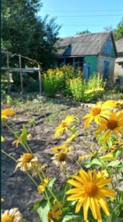 Продам Дом в Романково фото 1 Продам Дом в Романково фото 1