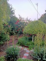 ������ ��� � ��������� ���� 4