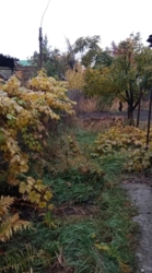 Продам Дом / Черемушки фото 14 Продам Дом / Черемушки фото 14