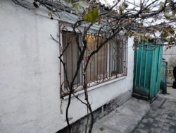 ������ ����� ���� / ������ ���� 2