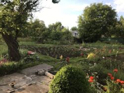 ������ ���� / ����� ���� 9