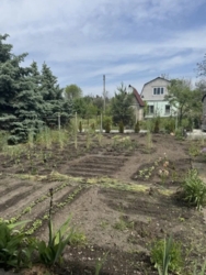 Продам дачный дом / 'Чайка' фото 11 Продам дачный дом / 'Чайка' фото 11